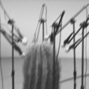 Leo Patt - Samarium [FIGN53]