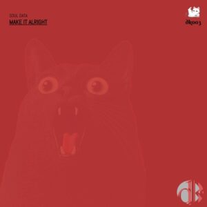 Soul Data - Make It Alright [DK003]