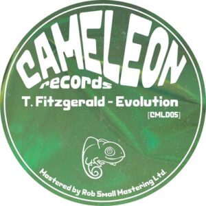 T. Fitzgerald - Evolution [CMLD05]