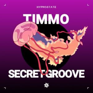 Timmo - Secret Groove [HS041A]