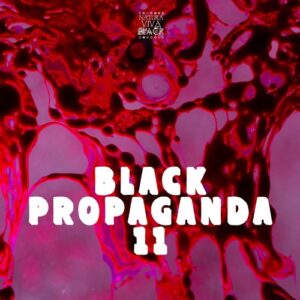 VA - Black Propaganda 11 [NATBLACKCOMPI043]