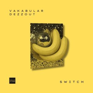 Vakabular, DEZZOUT - Switch [HLST122]