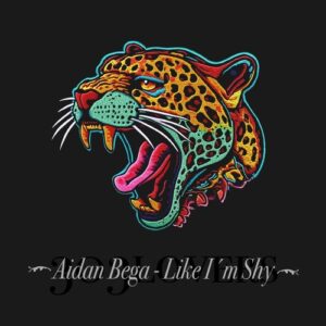 Aidan Bega - Like I'm Shy [303L2608]