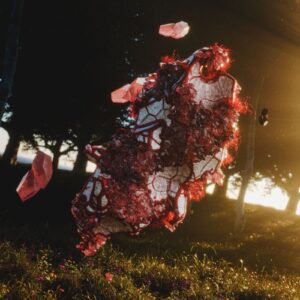 Baime - Hexaklang [THRYX040]