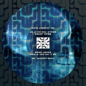 Brad James (UK) - Would You Do It EP [ZST022]