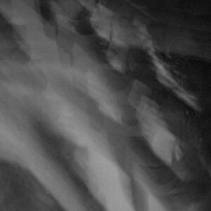 Cerbu - Tendrils EP (incl. BounceBit, Neem Remixes) [UTR048]