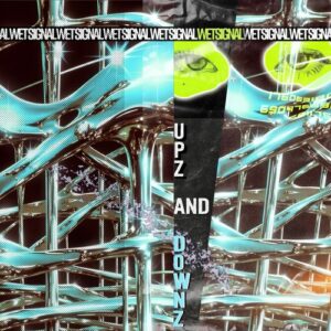 Davide Mentesana - Upz and Downz [WET024]