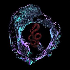 Gabriel Menza - Cosmic Symphony [XS014]