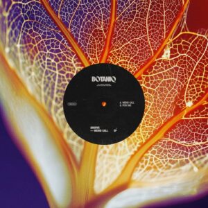 Gruuve - Weird Call EP [BNQ006]