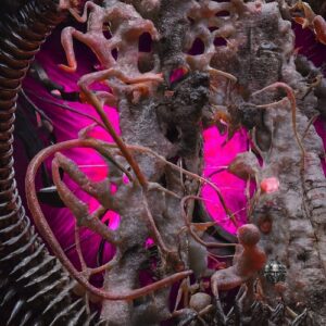 INMNT - Revenge [SR109]