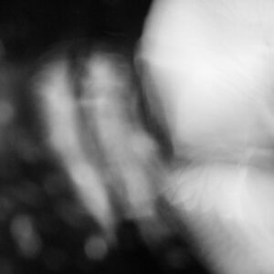 K Tacere - Blue Man [FIGN54]