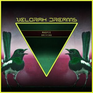 Magpie - Driving (Extended Mix) [VD032E]