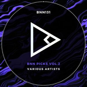 VA - BNN Picks, Vol. 2 [BNN131]
