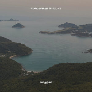 VA - Best of 3rd Avenue | Spring 2026 [3AVLP094]