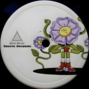 VA - Groove Awakening [3618028040563]