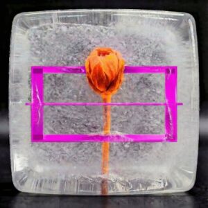 VA - YEAR 000.000.001 Vol. VII (Part III) [BOLVA73]