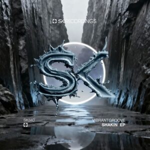 Vibrantgroove - Shakin [SK340]