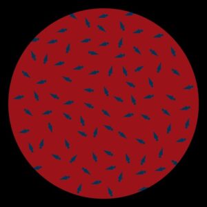 Cicuendez - Room in the cellar [DEZ15]