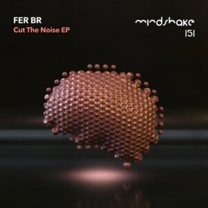 Fer BR - Cut The Noise [MINDSHAKE151]