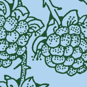 Johannes Albert, Biesmans, Iron Curtis - Private Dancer (Versions) [PERMVAC 355-6]