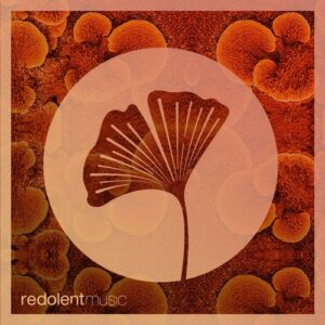 Les Castizos, Nolek - El Fuego [RDT103DW]