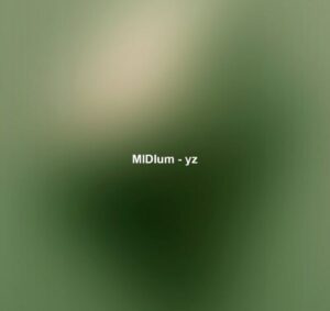 MIDIum - yz [MRR340]