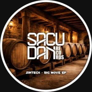 Sintech - Big Move EP [SR330D]