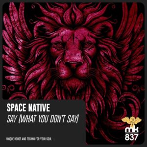 Space Native - Say (What You Don't Say) [MKE483]