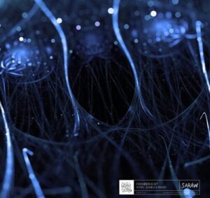 Tonel’, Baaso – Chamber 13 [SRW062]