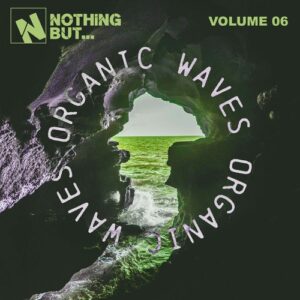 VA - Nothing But... Organic Waves, Vol. 06 [PSR244BBB]
