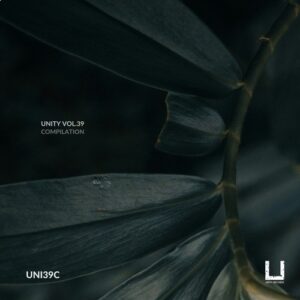 VA - Unity Vol.39 Compilation [UNI39C]
