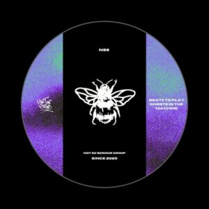 Beatz To Play - Ghosts In The Machine [NSS299D]