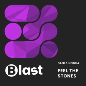 Dani Sinergia - Feel the Stones [BSR0001]