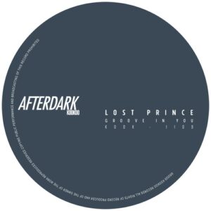 Lost Prince - Groove in You (Extended Mix) [KOOK1109]