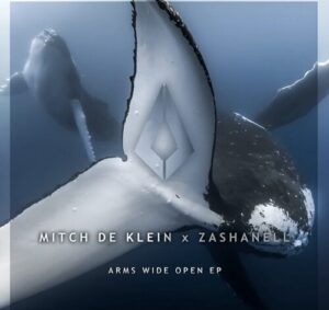 Mitch De Klein - Arms Wide Open [PF0262BP]