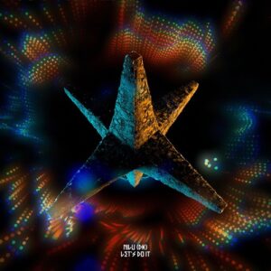 NILU (DK) - LET`S DO IT [739915480163]