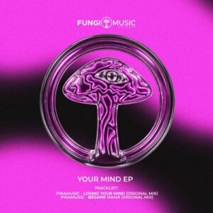 PINAMUSIC - YOUR MIND EP [FUN003]