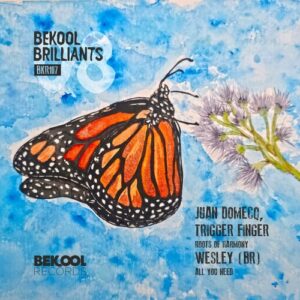 VA - Bekool Brilliants 08 [BKR107]