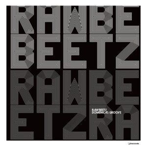 rawBeetz - Domenica's Groove (Remix) [IRECEPIREC1360D1TRSPDBP]